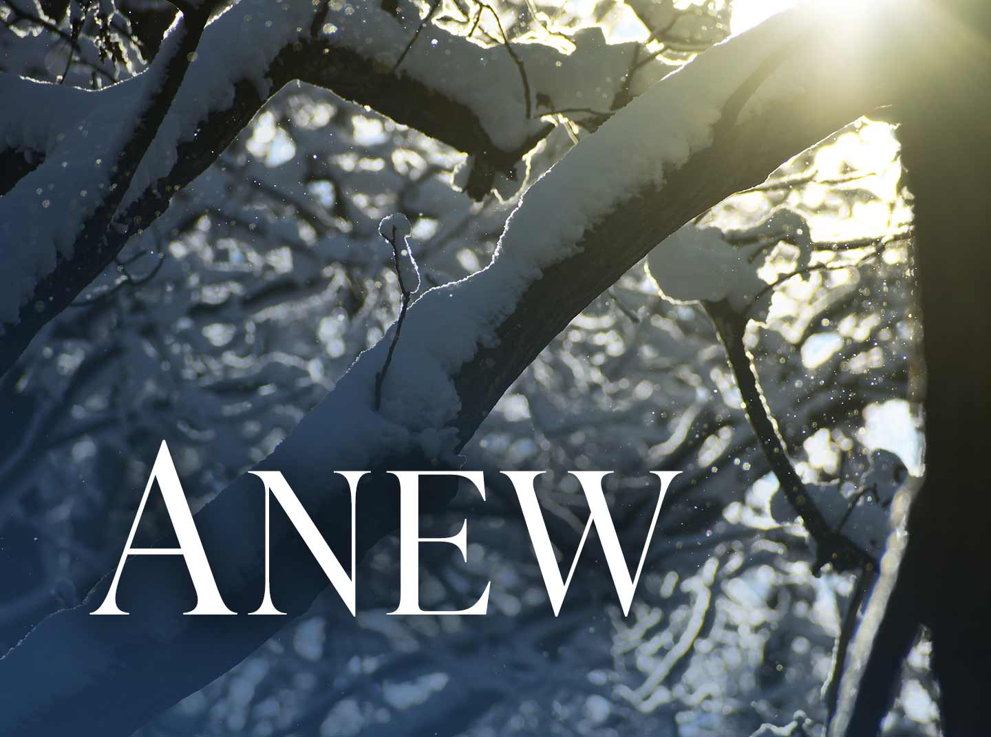 Anew - Relaxing Piano Music to Cleanse Your Mind and Emotions